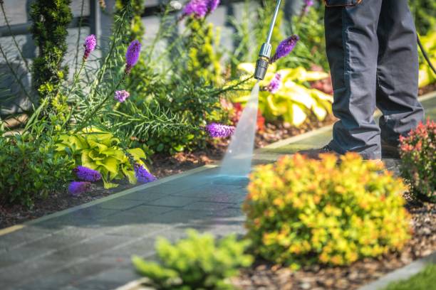 Best Residential Pressure Washing in Rochester, NH